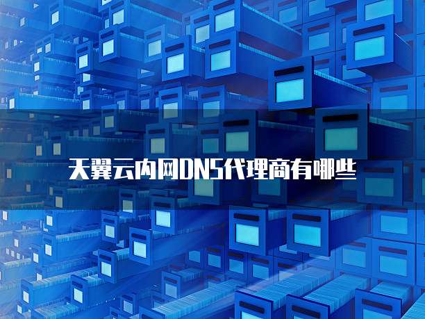 天翼云内网DNS代理商有哪些