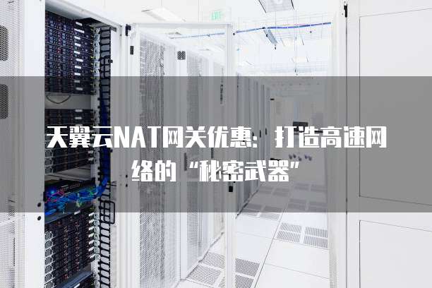 天翼云NAT网关优惠:打造高速网络的“秘密武器”