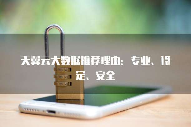 天翼云大数据推荐理由:专业、稳定、安全