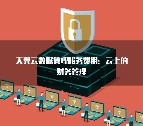 天翼云数据管理服务费用:云上的财务管理