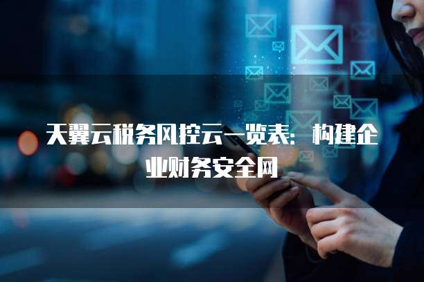天翼云税务风控云一览表:构建企业财务安全网