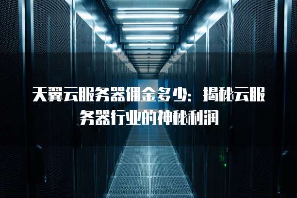 天翼云服务器佣金多少:揭秘云服务器行业的神秘利润