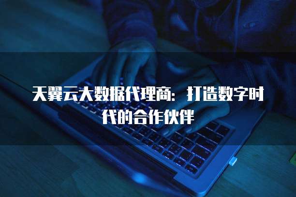 天翼云大数据代理商:打造数字时代的合作伙伴