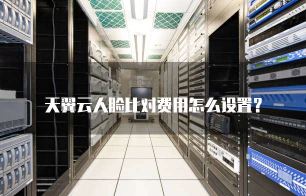 天翼云人脸比对费用怎么设置？