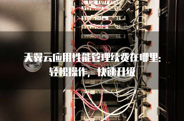 天翼云应用性能管理续费在哪里：轻松操作，快速升级