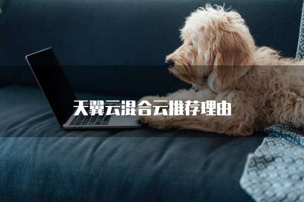 天翼云混合云推荐理由