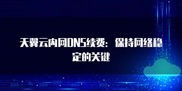 天翼云内网DNS续费:保持网络稳定的关键