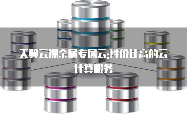 天翼云裸金属专属云:性价比高的云计算服务