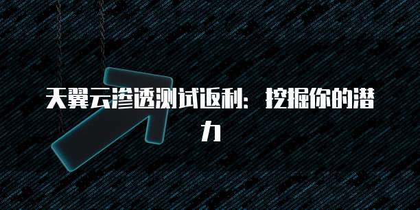天翼云渗透测试返利：挖掘你的潜力