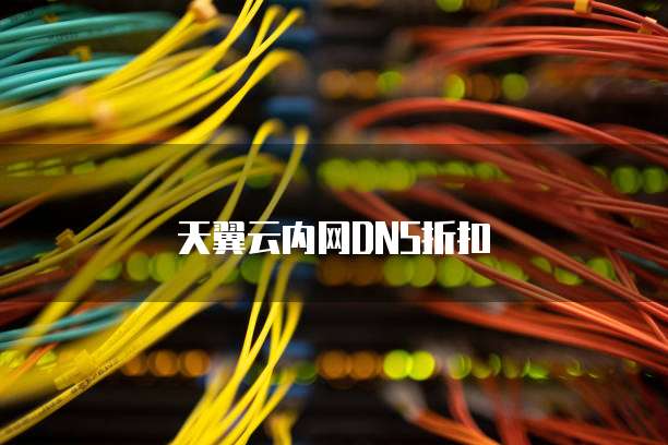 天翼云内网DNS折扣