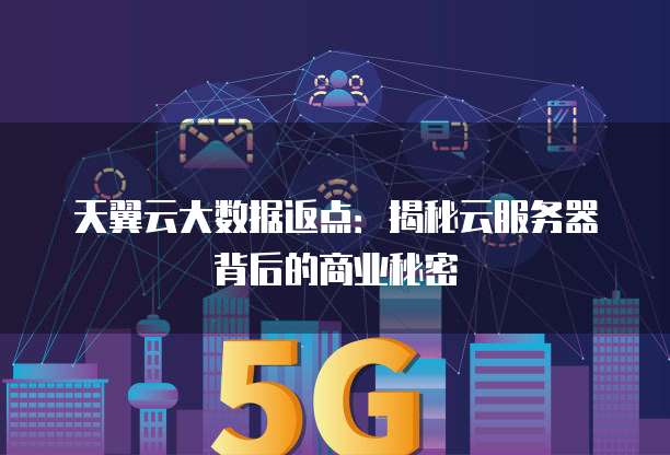 天翼云大数据返点：揭秘云服务器背后的商业秘密