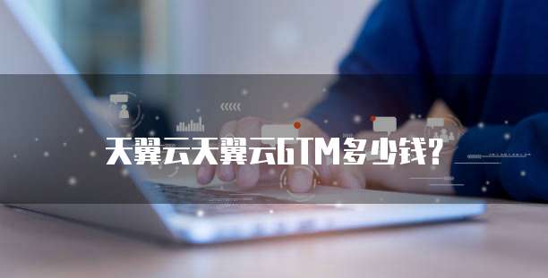 天翼云天翼云GTM多少钱?