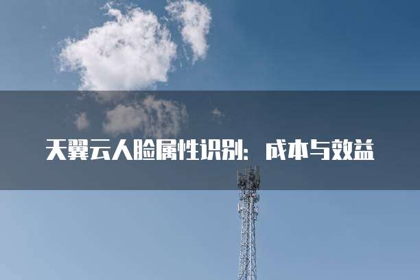 天翼云人脸属性识别:成本与效益