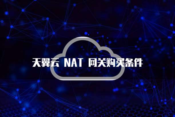 天翼云 NAT 网关购买条件