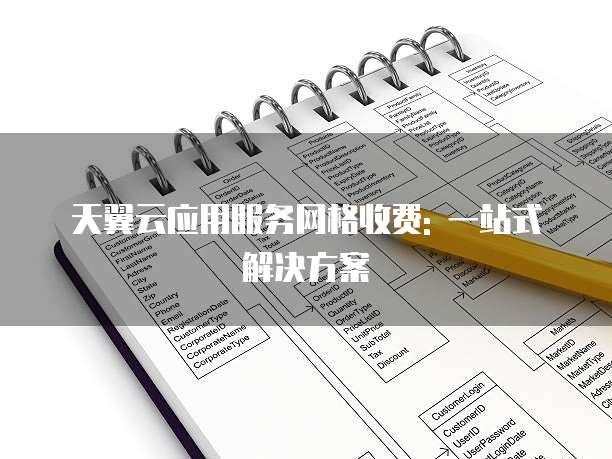 天翼云应用服务网格收费: 一站式解决方案