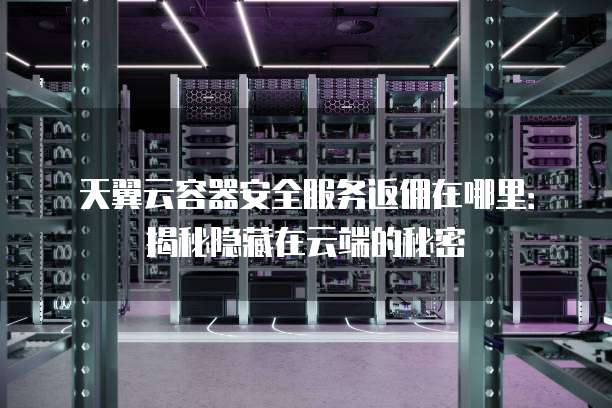 天翼云容器安全服务返佣在哪里：揭秘隐藏在云端的秘密
