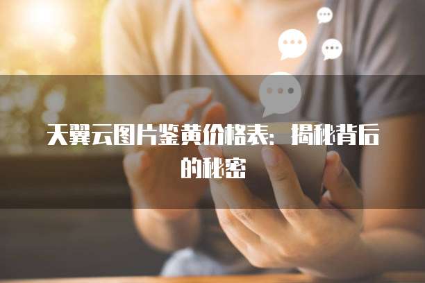 天翼云图片鉴黄价格表:揭秘背后的秘密