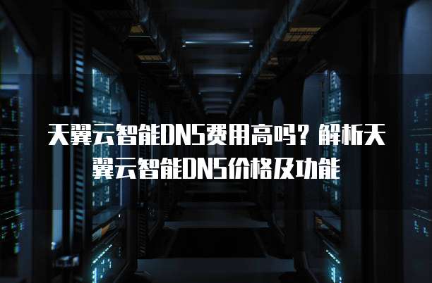 天翼云智能DNS费用高吗？解析天翼云智能DNS价格及功能