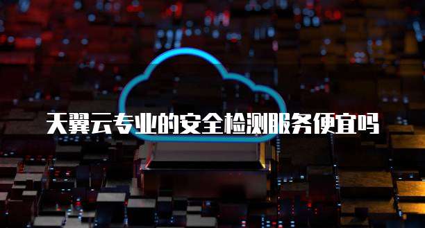天翼云专业的安全检测服务便宜吗