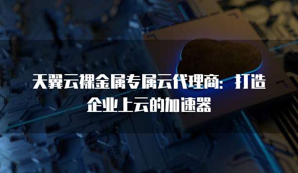 天翼云裸金属专属云代理商:打造企业上云的加速器