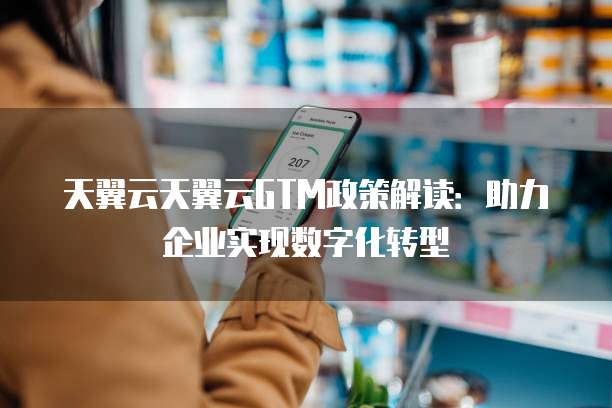 天翼云天翼云GTM政策解读:助力企业实现数字化转型
