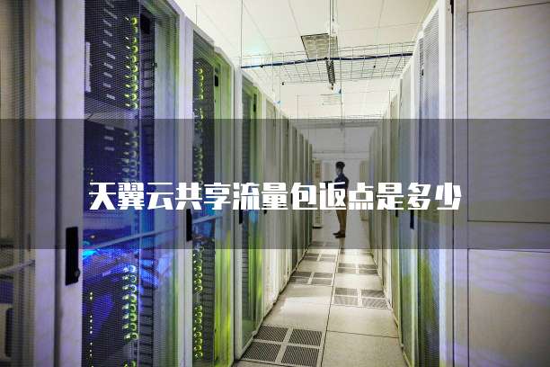 天翼云共享流量包返点是多少