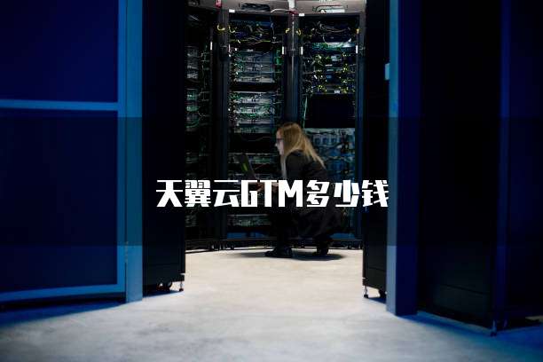 天翼云GTM多少钱