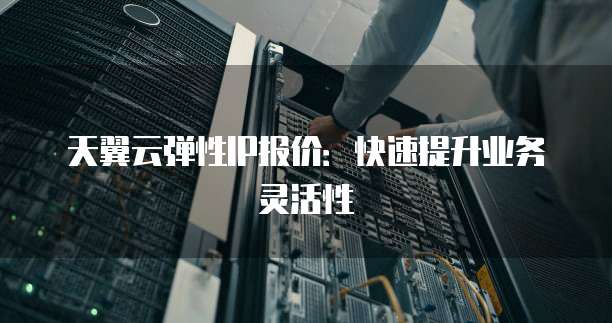 天翼云弹性IP报价:快速提升业务灵活性