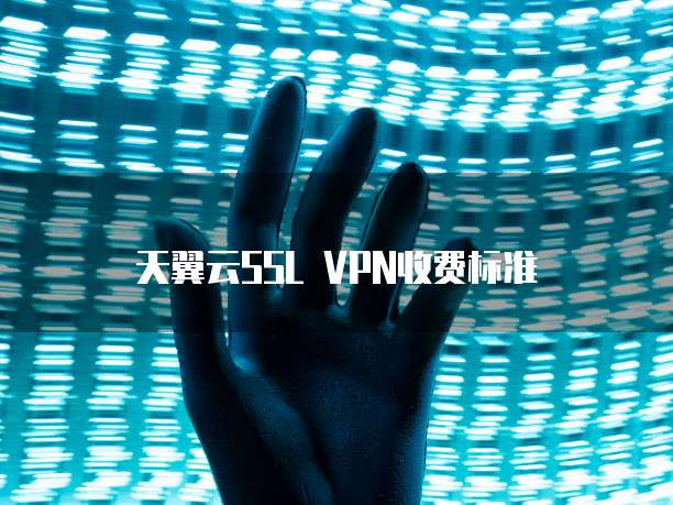 天翼云SSL VPN收费标准