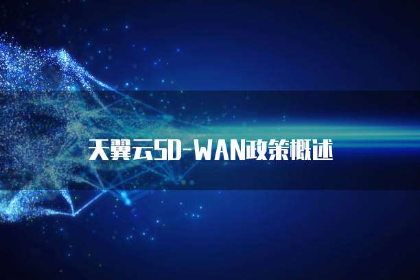 天翼云SD-WAN政策概述