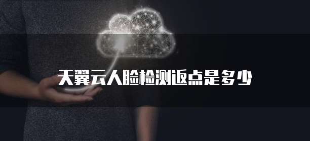 天翼云人脸检测返点是多少