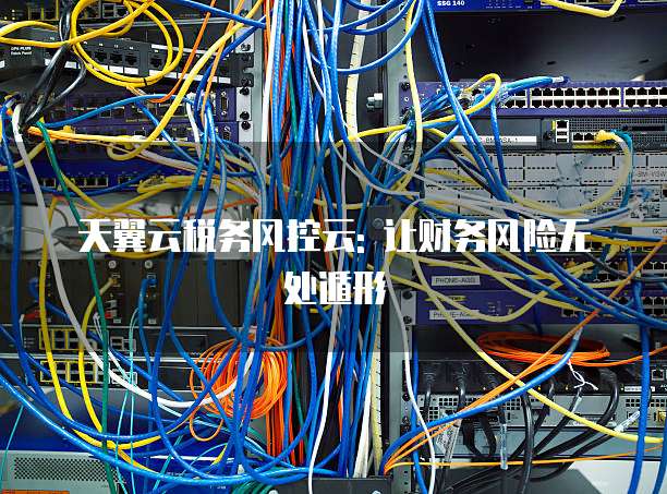 天翼云税务风控云: 让财务风险无处遁形