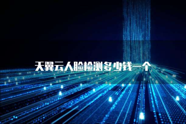 天翼云人脸检测多少钱一个