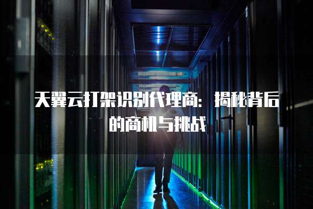 天翼云打架识别代理商:揭秘背后的商机与挑战