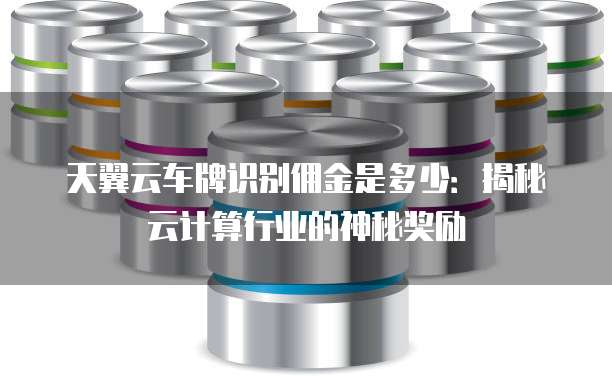 天翼云车牌识别佣金是多少：揭秘云计算行业的神秘奖励