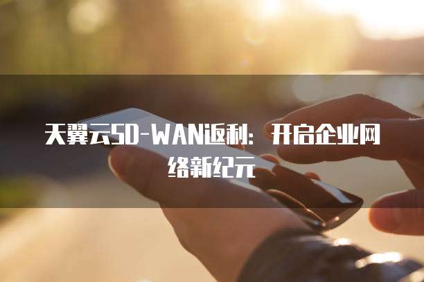 天翼云SD-WAN返利:开启企业网络新纪元