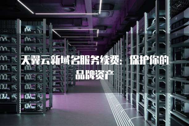 天翼云新域名服务续费:保护你的品牌资产