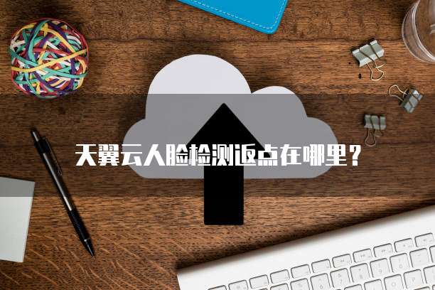 天翼云人脸检测返点在哪里?