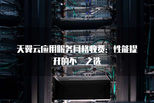 天翼云应用服务网格收费:性能提升的不二之选