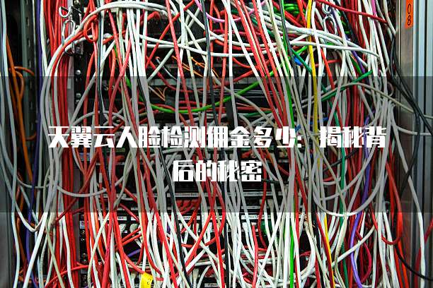 天翼云人脸检测佣金多少:揭秘背后的秘密