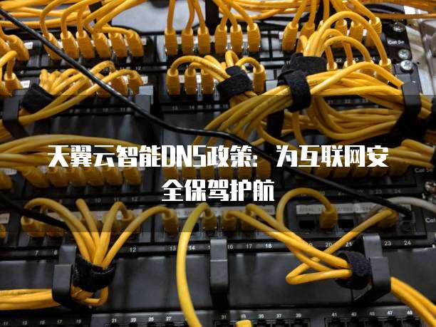 天翼云智能DNS政策:为互联网安全保驾护航