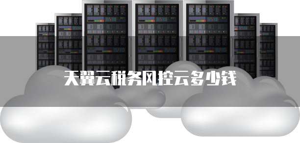 天翼云税务风控云多少钱