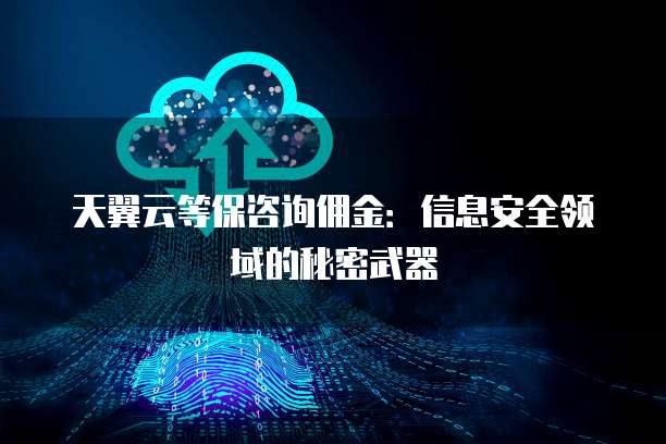 天翼云等保咨询佣金:信息安全领域的秘密武器