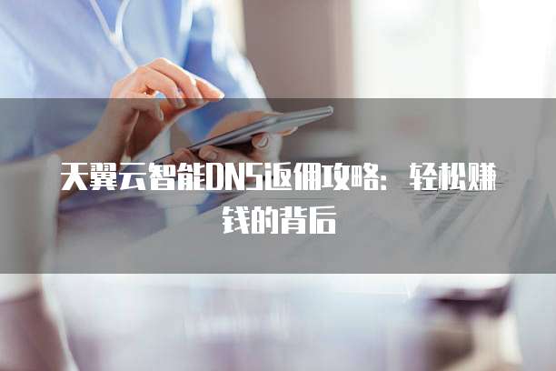 天翼云智能DNS返佣攻略:轻松赚钱的背后