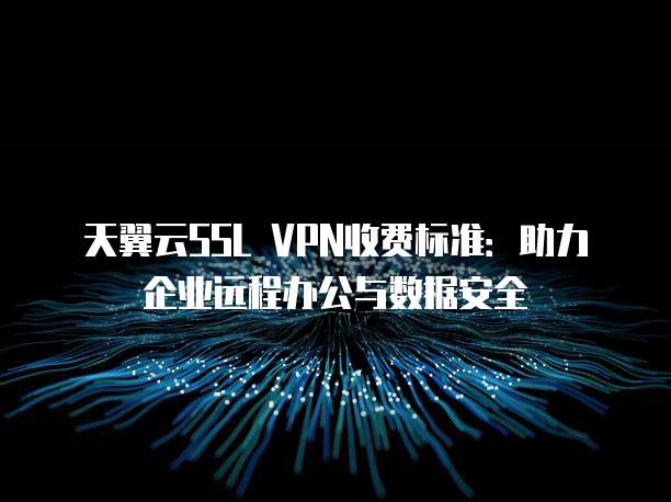 天翼云SSL VPN收费标准:助力企业远程办公与数据安全
