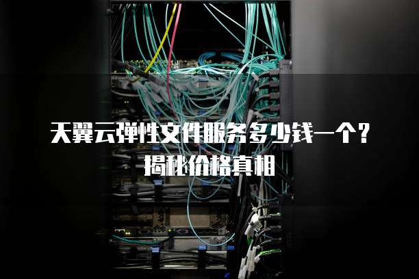 天翼云弹性文件服务多少钱一个?揭秘价格真相