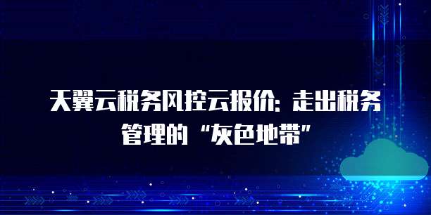天翼云税务风控云报价: 走出税务管理的“灰色地带”
