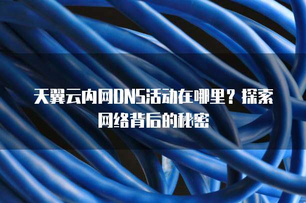 天翼云内网DNS活动在哪里?探索网络背后的秘密