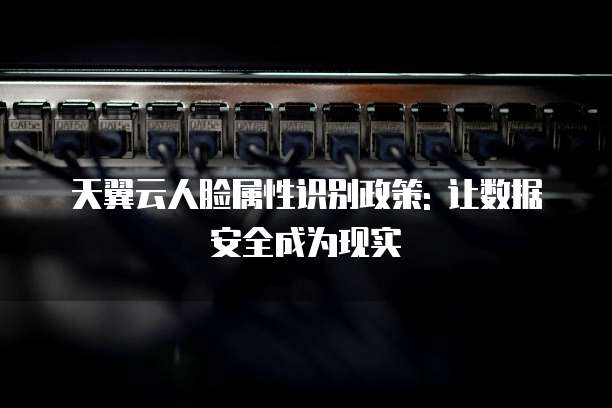 天翼云人脸属性识别政策: 让数据安全成为现实