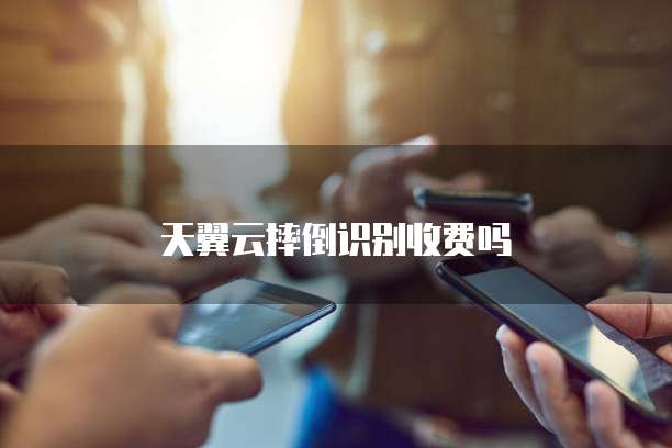 天翼云摔倒识别收费吗